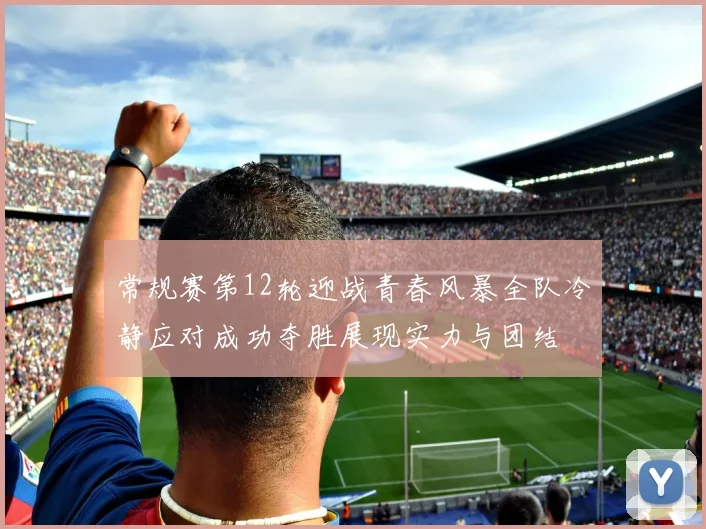 常规赛第12轮迎战青春风暴全队冷静应对成功夺胜展现实力与团结