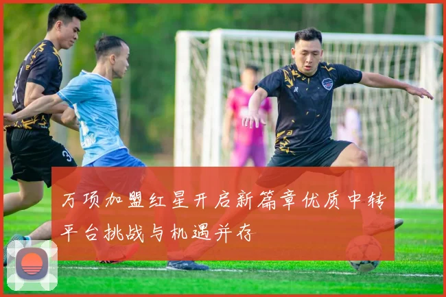 万项加盟红星开启新篇章优质中转平台挑战与机遇并存
