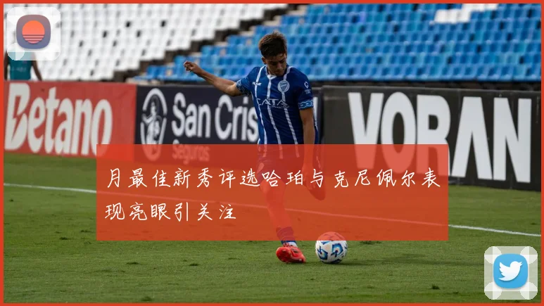 月最佳新秀评选哈珀与克尼佩尔表现亮眼引关注