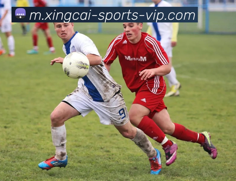 App Interface Preview