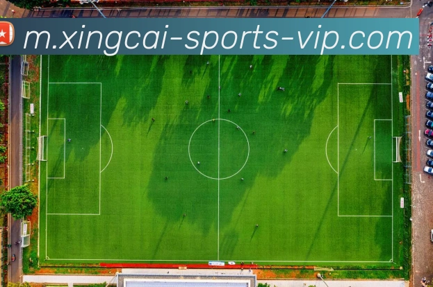 杏彩体育APP 封面图